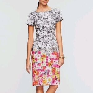 Talbots Ombre Floral Print Sheath Dress Gray Pink Sleeveless Garden Party 16